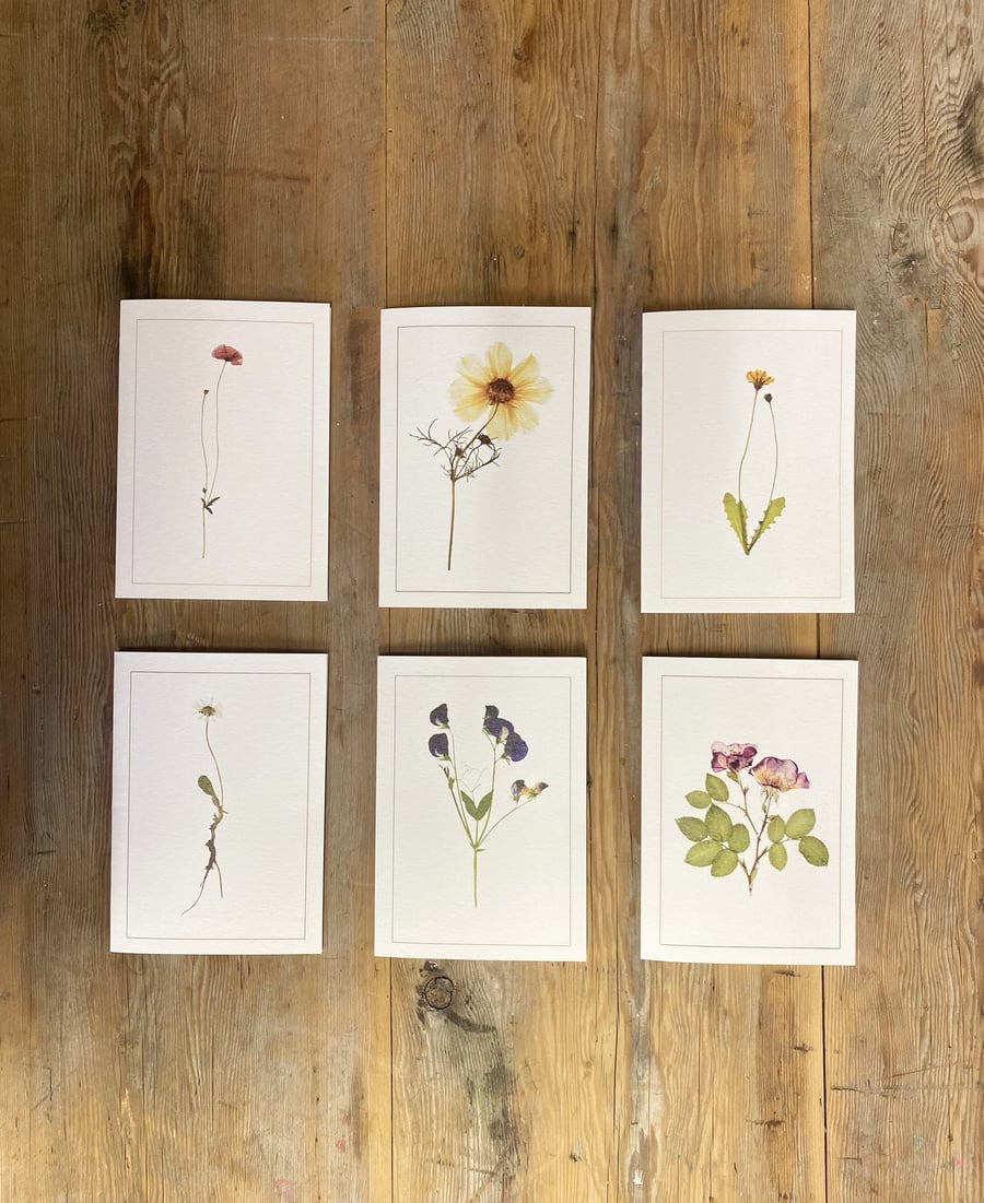 Set of 6 flower cards