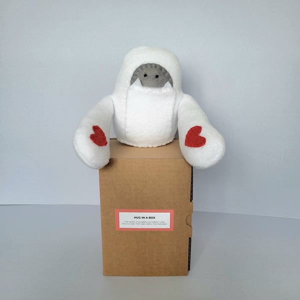 YETI HUG IN A BOX - Gift for a far away friend