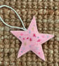 Hanging Star Decoration