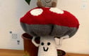 Plants and fungi