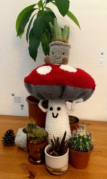 Gary the Toadstool - Gary y Madarch