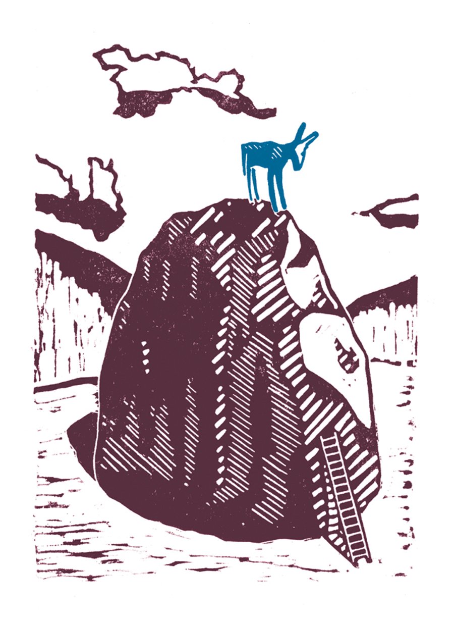 Blue Donkey Regrets The Adventure A3 Poster-Print