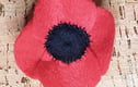 Remembrance Day Poppies