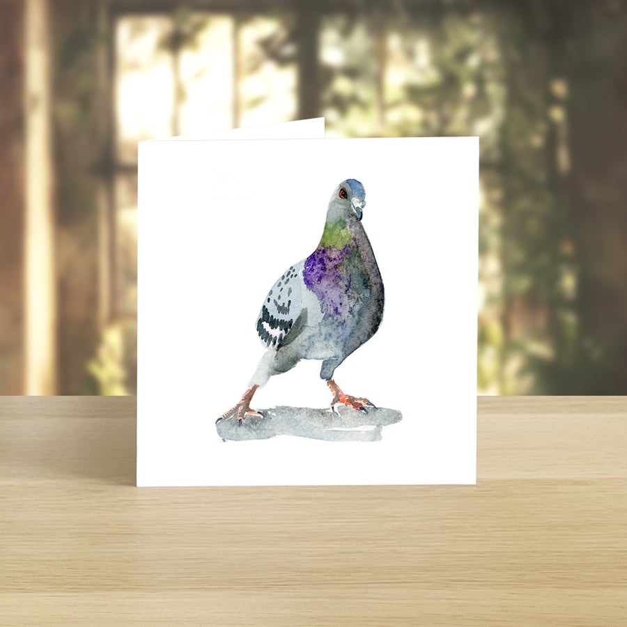 Dancing Pigeon greeting card (blank)