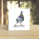 Dancing Pigeon greeting card (blank)