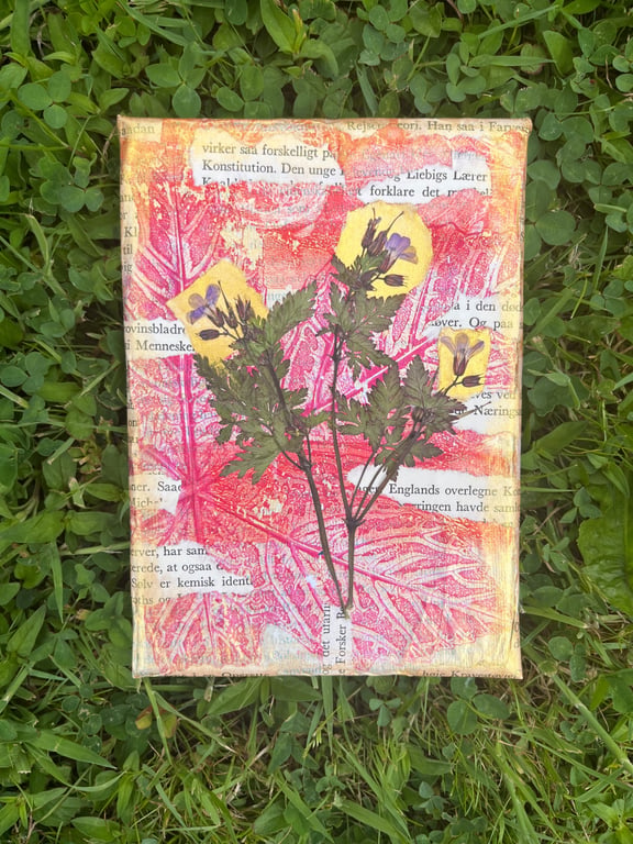 Forget Me Not Sunset - Original Gel Plate Print with Pressed Flowers