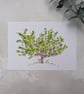 Fairy Tree Print, Wishing Tree Art Print - End of Line Print