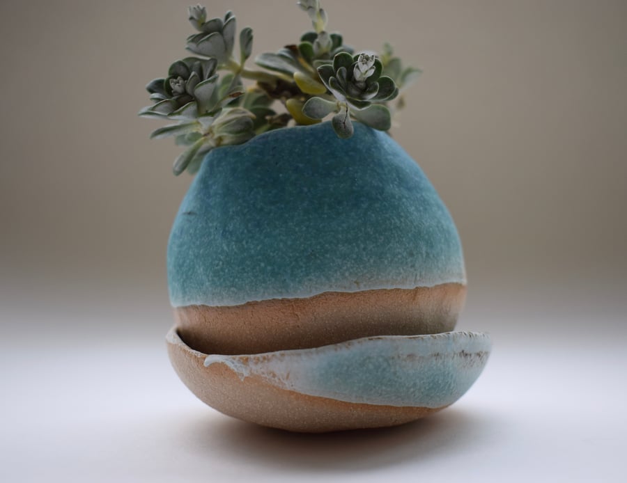 Ceramic Pebble for Succulents and House Plants