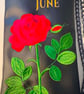June Birth Flower Gift Set - Embroidered Bundle - Image 2
