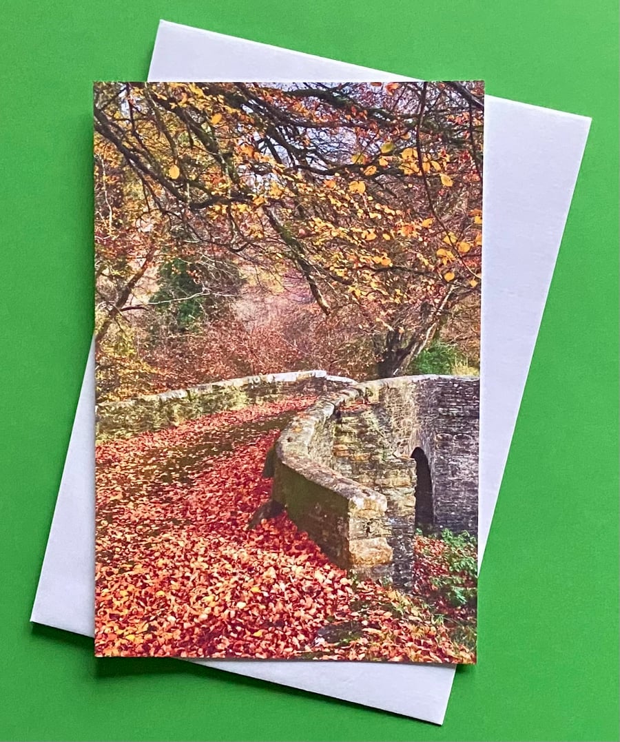 River Fowey Cornwall in Autumn - Photographic Print Greetings Card