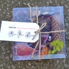 Fairy House materials