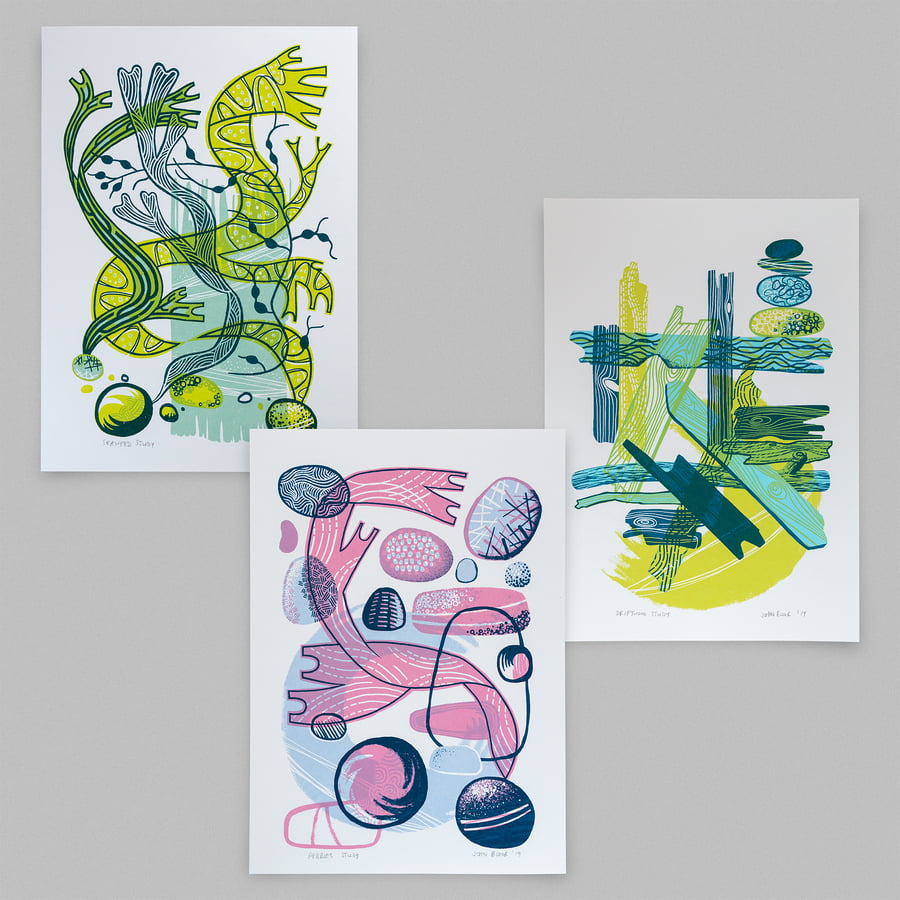 Coastal Studies screen prints set