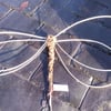 Willow dragonfly 