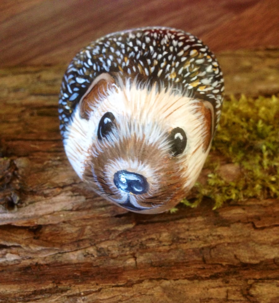 Hedgehog hand painted on rock 