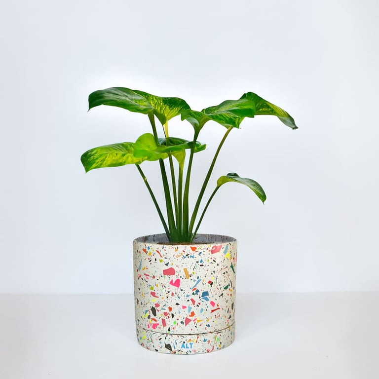 Handcrafted Large Terrazzo Jesmonite Colorful Plant Pot with Drainage & Tray 