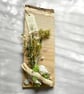 Handcrafted Red Oak Coastal Wooden Display Plaque with Sea Shells & Driftwood  - Image 6