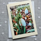 Ground Level View of Snowdrops Large Blank Photo Card Size 7" x 5"