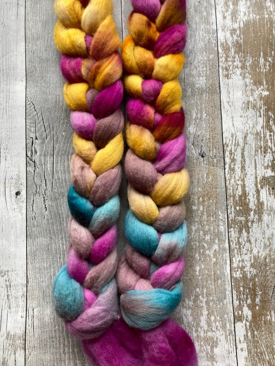 Polwarth wool top roving spinning fibre 100g Dappleberry