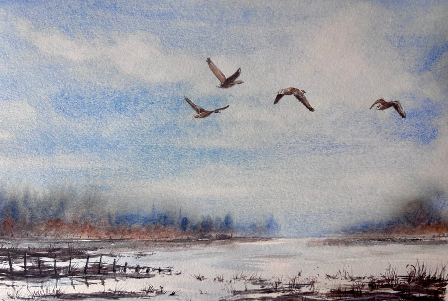 Morning over the Marsh