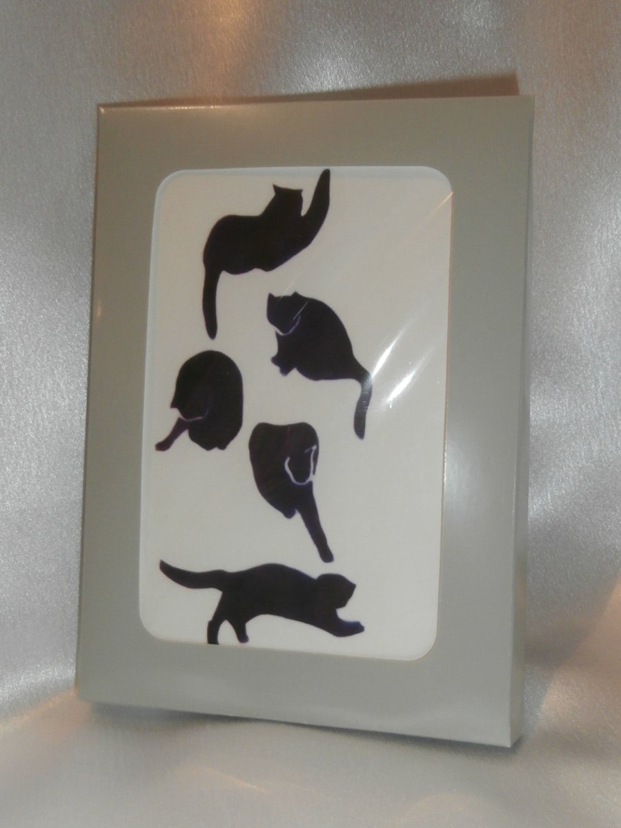 Box of Cats handmade cards, letterbox gift