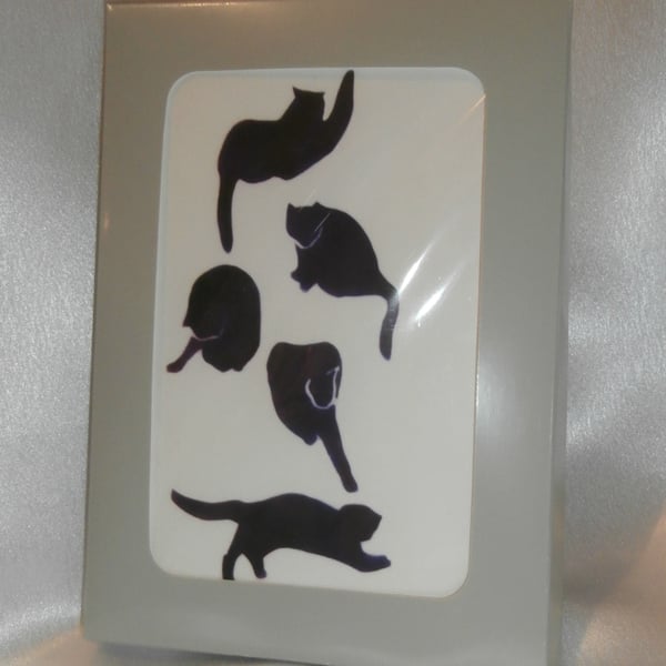 Box of Cats handmade cards, letterbox gift