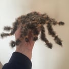 Needle felted terantula 