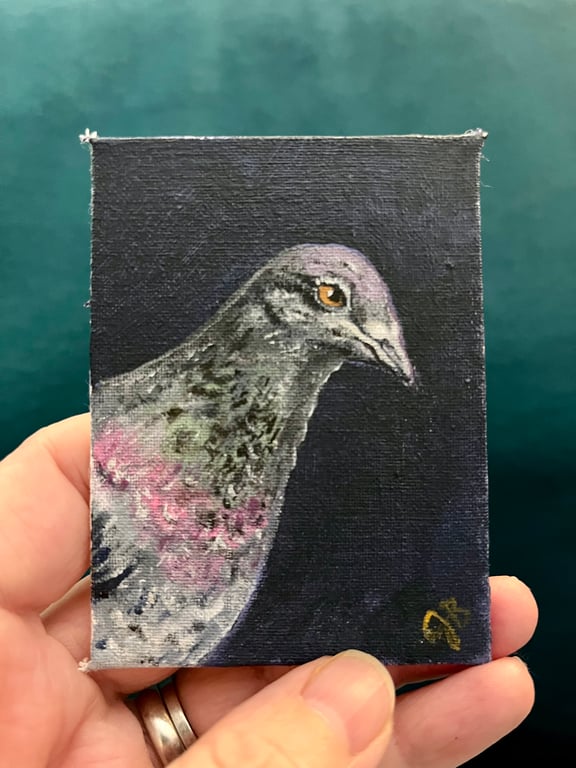 ACEO pigeon portrait 2 original painting 