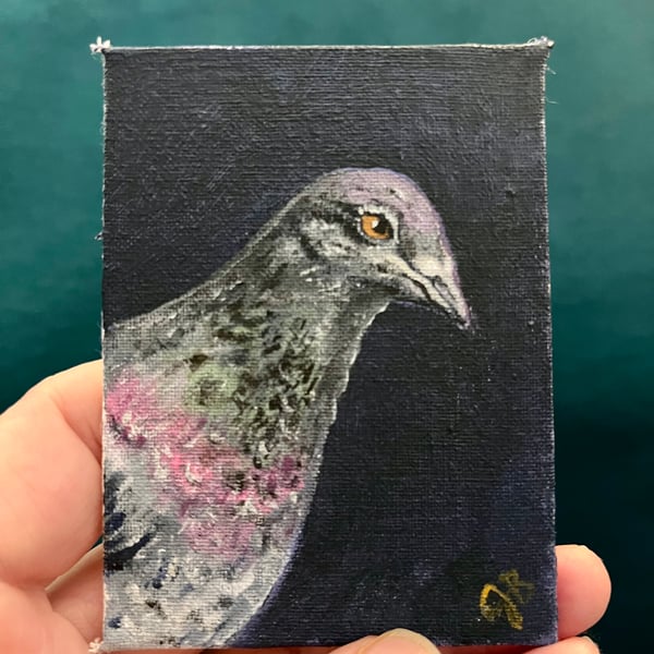 pigeon portrait 2 original painting 
