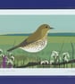 Song thrush - A5 bird art print - garden birds - Image 3