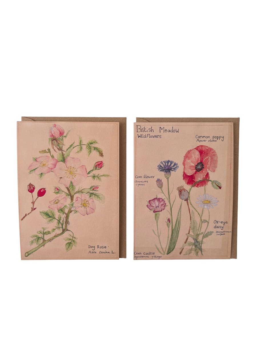 Botanical watercolour greetings card 
