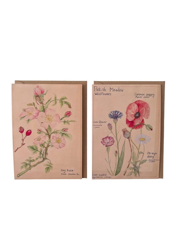 Botanical watercolour greetings card 