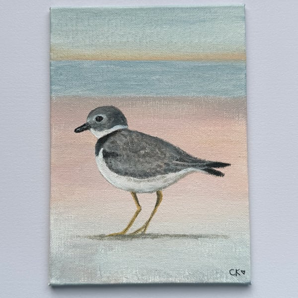 Ringed Plover Original Art
