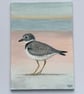 Ringed Plover Original Art