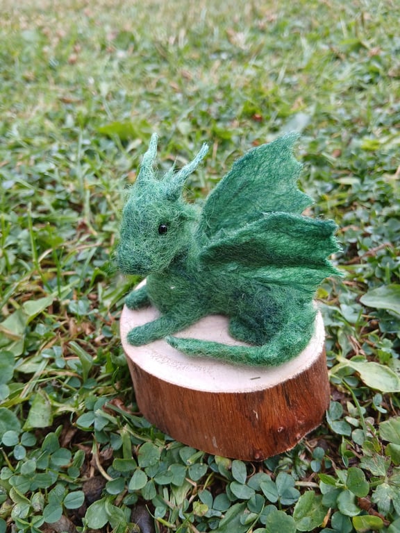 Mossy Dragon Hatchling on a Woodslice
