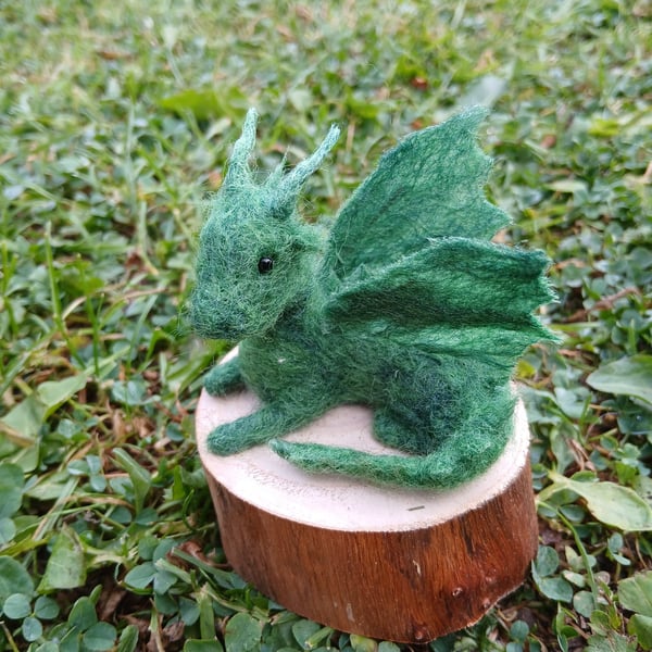 Mossy Dragon Hatchling on a Woodslice