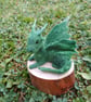 Mossy Dragon Hatchling on a Woodslice - Image 1