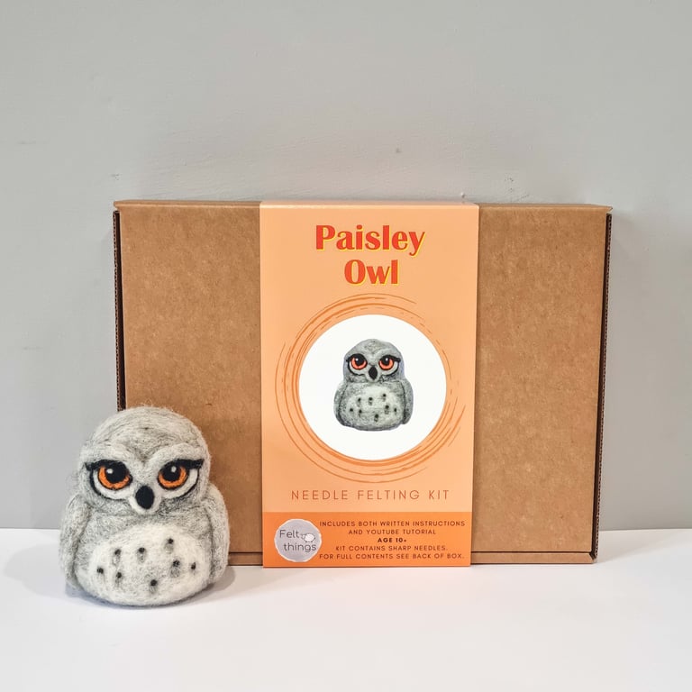 Paisley Owl Felting Kit: Needle Felting DIY Craft for Beginners
