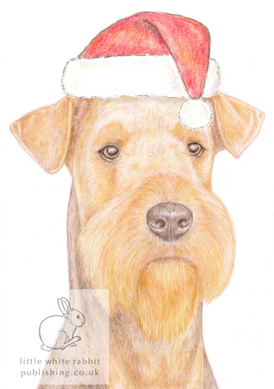 Angus the Airedale Terrier - Christmas Hat Card