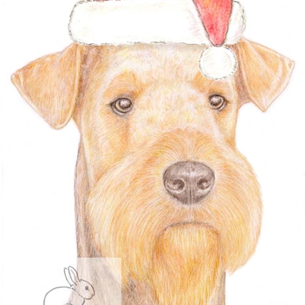 Angus the Airedale Terrier - Christmas Hat Card
