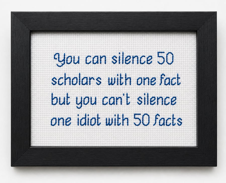 You Can Silence 50 Scholars – Witty Handmade Cross Stitch Quote Gift 6x4