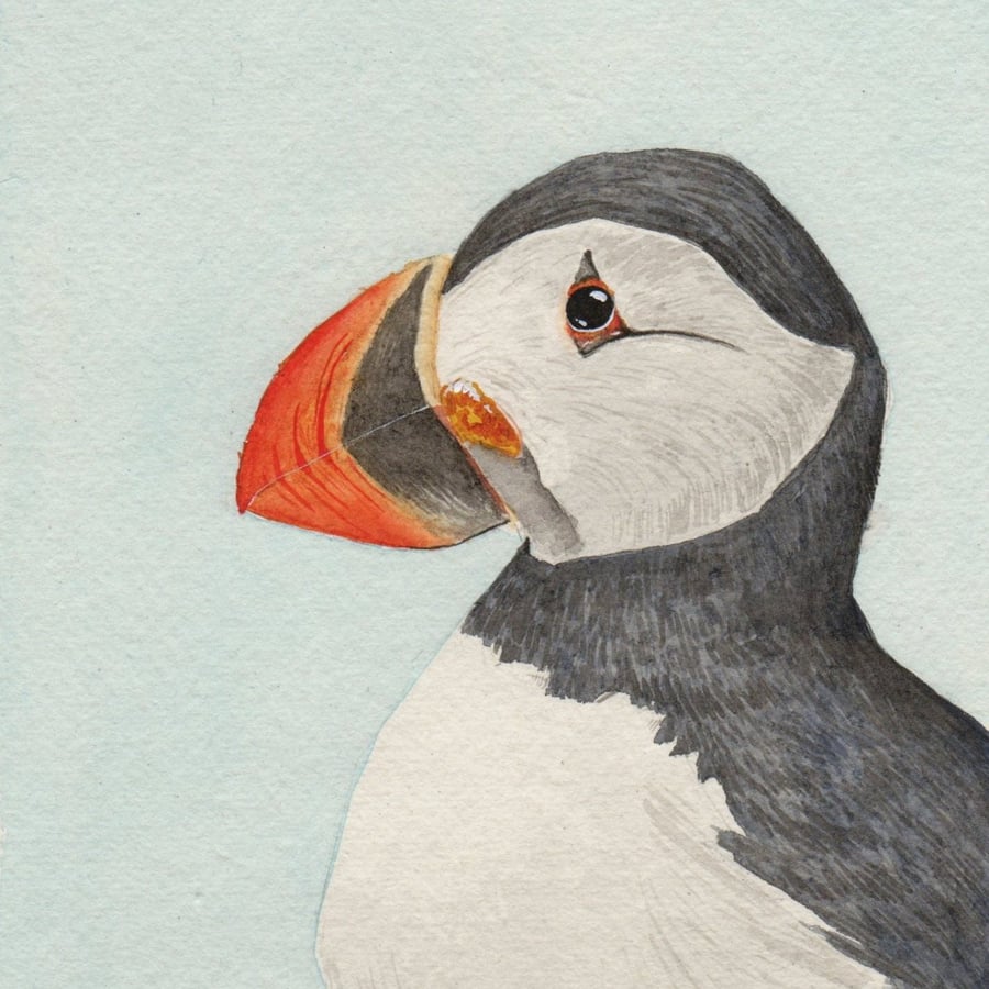 Puffin Portrait Original Watercolour Painting