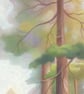 Redwood Forest drawing - beautiful trees, California art  - Image 2