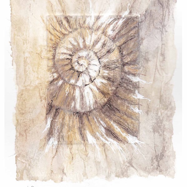 Etching no.69 of an ammonite fossil with mixed media in an edition of 100