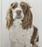A3 Custom Dog Portrait made with Coloured Pencil - Image 3