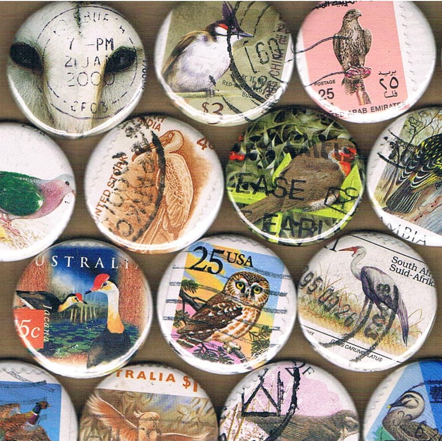 A DISSIMULATION of BIRDS Vol 1 - upcycled postage stamp badge, sale for charity