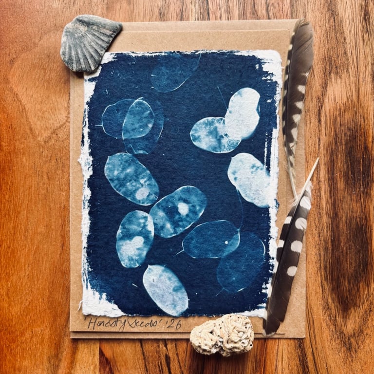 Cyanotype Honesty Seed-Heads 6 - Mounted Design - Card with envelope