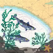 Hannah Wisdom Textiles