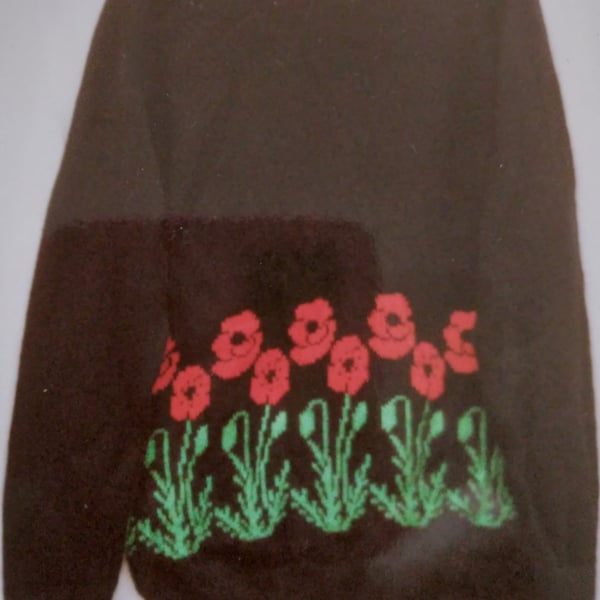 Jumper with a border of poppies
