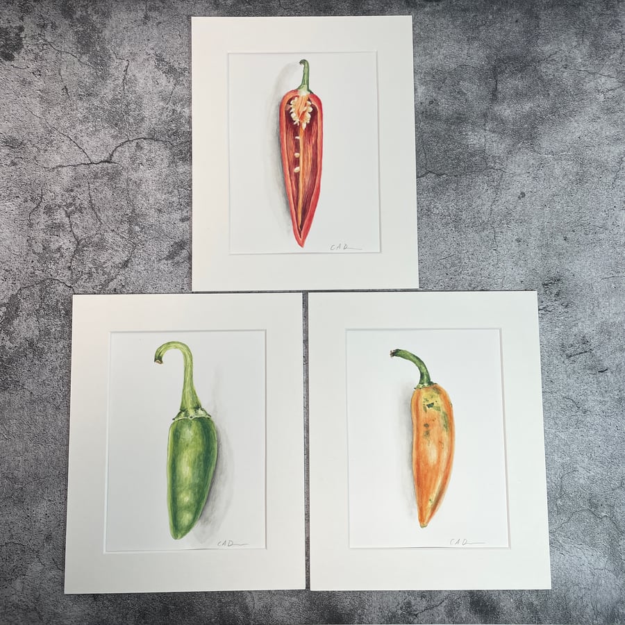 "Three Chilies" Watercolour Painting Collection