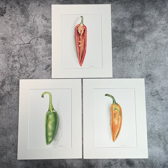 "Three Chilies" Original Watercolour Painting Collection